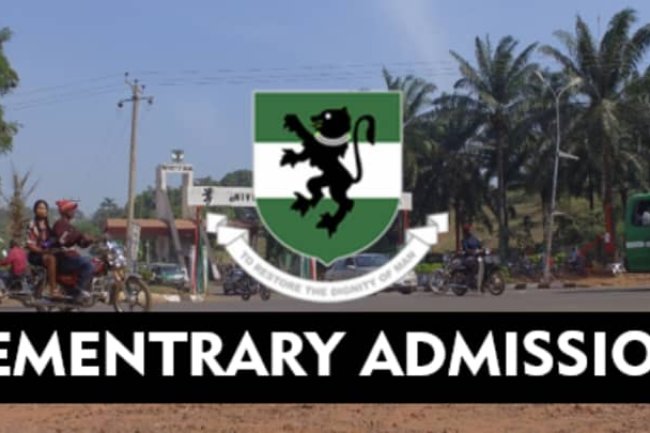 University of Nigeria Nsukka (UNN) 2025/2026 Supplementary Admission List Is Out